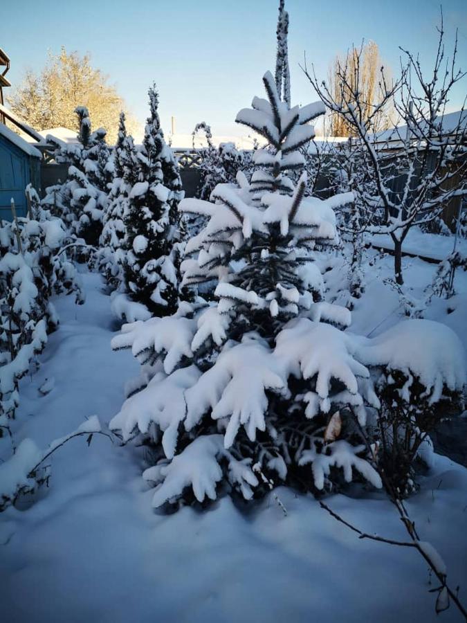 Загородный коттедж Kek-Dzhar Экстерьер фото